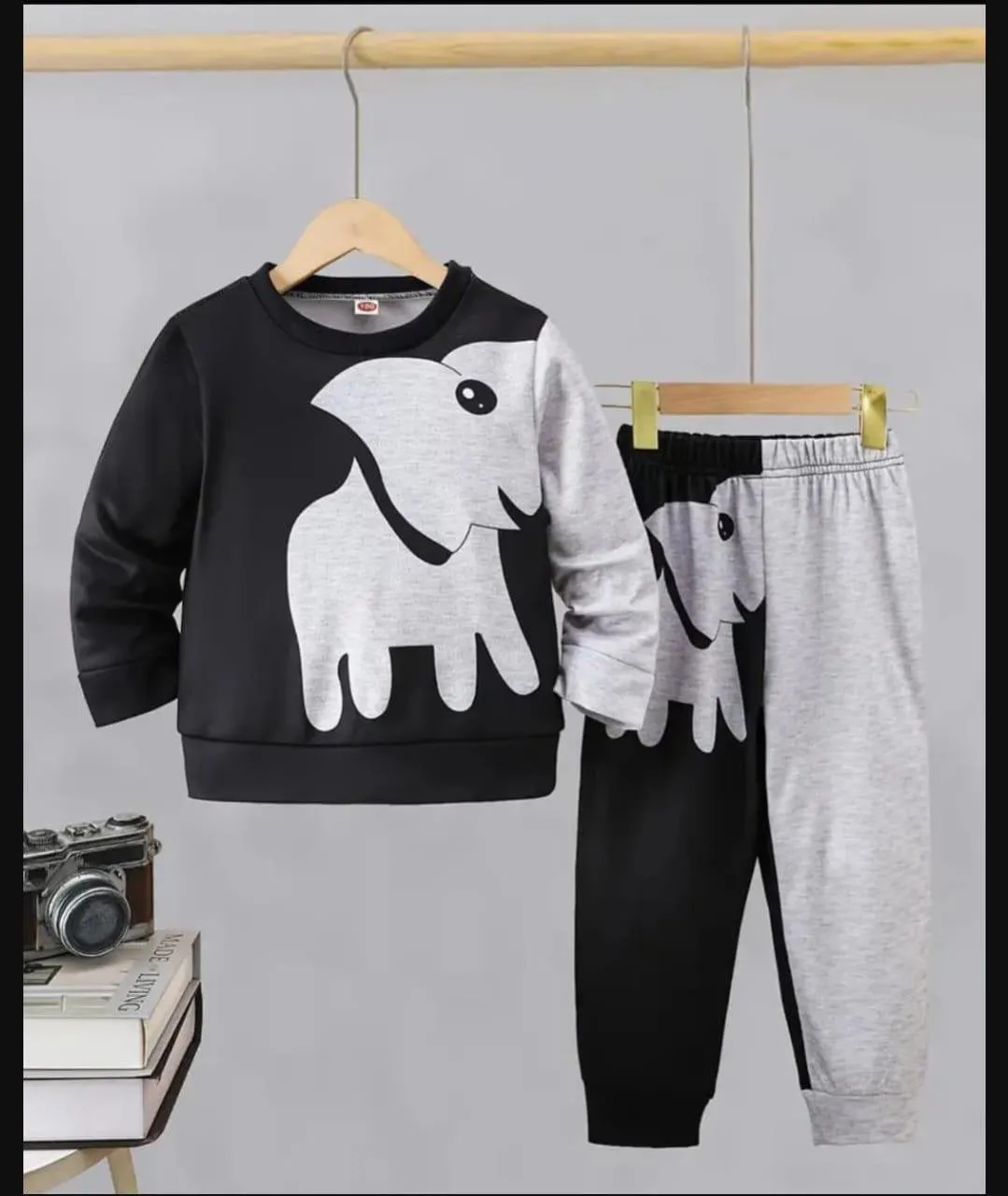 2 Pcs Boy's Fleece Printed Tracksuit