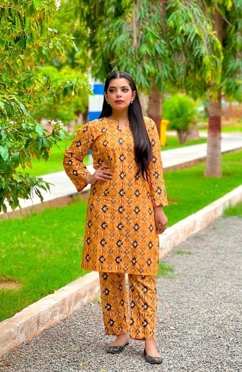 2 Pcs Women's Stitched Linen Printed Shirt And Trouser