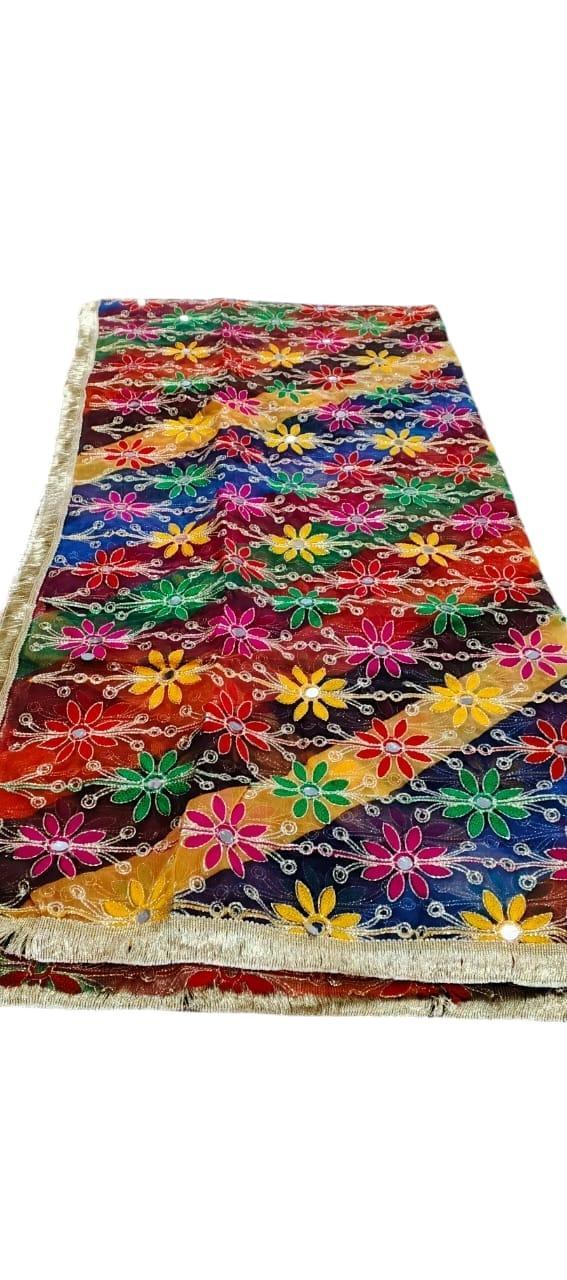 Stunning Multicolor Tissue Net Embroidered Dupatta - 1 Pc