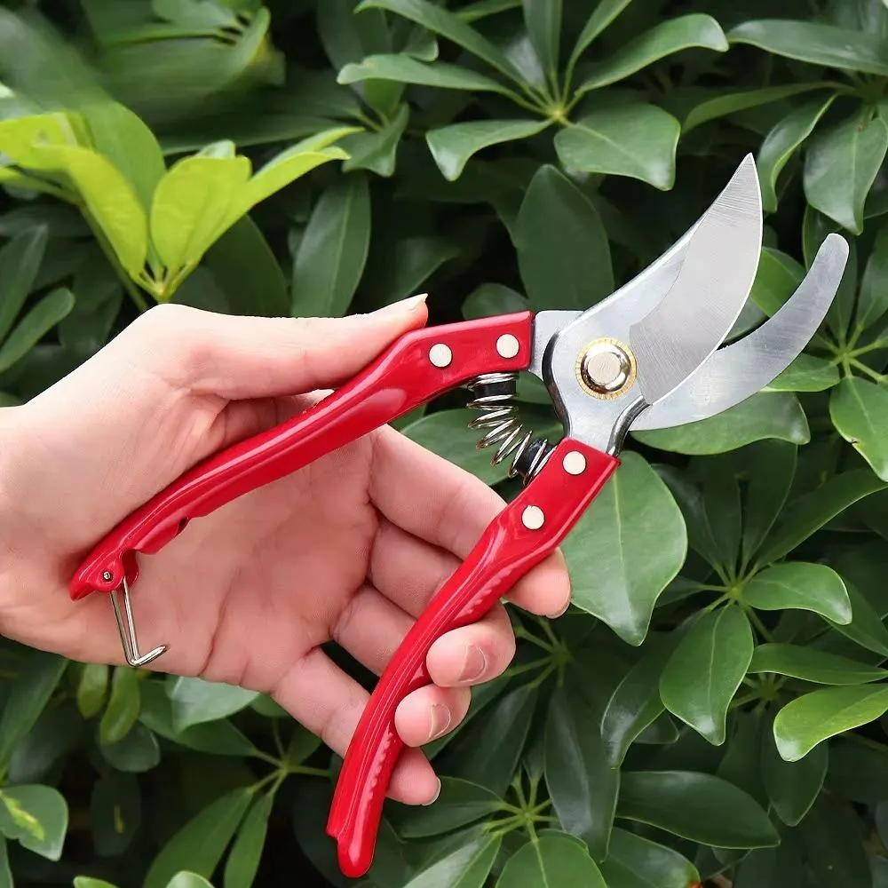 1 Pc Stainless Steel Gardening Scissor