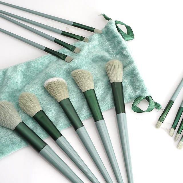 Professional Makeup Brushes Set for Practicing Makeup 