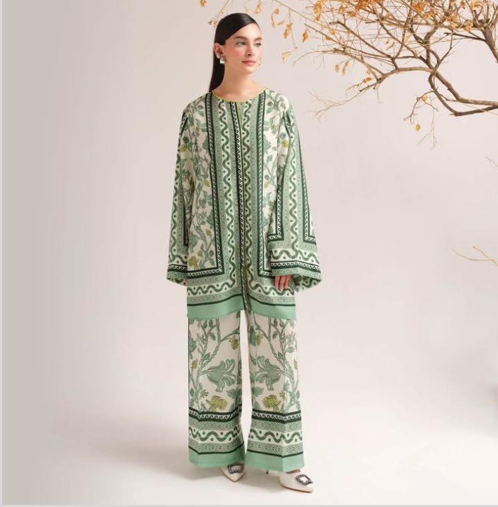 2 Pcs Women's Stitched Printed Shirt And Trouser