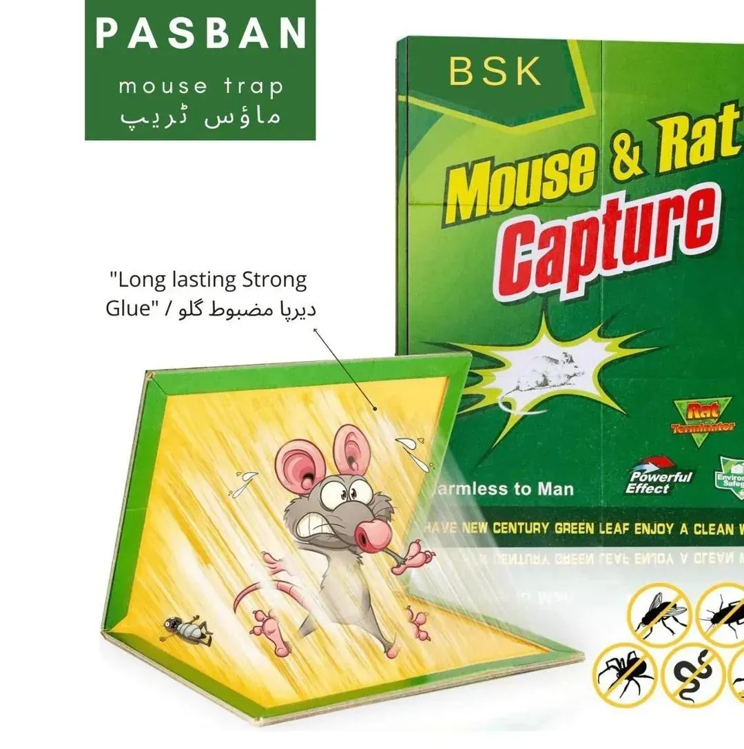 Pack Of 2 Mouse Trap