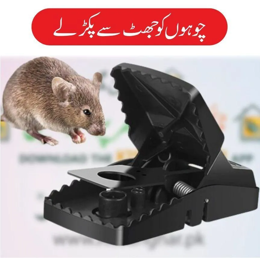 Reusable Heavy Duty Mouse Catcher 