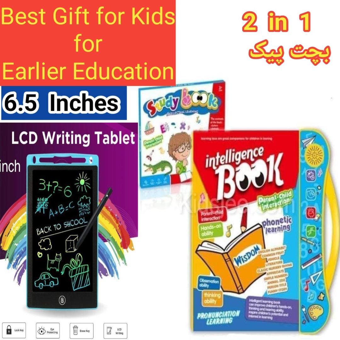 Plastic Intellectual Learning E-Book