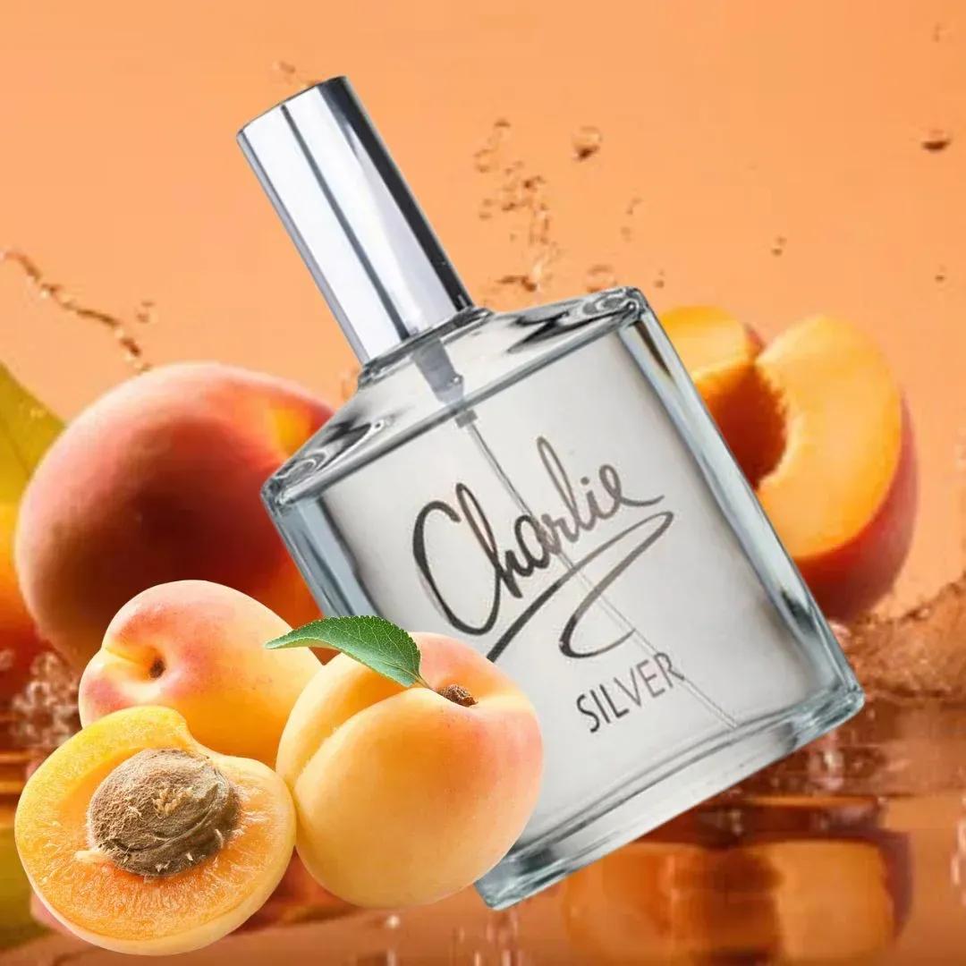 Revlon Charlie Silver Eau de Toilette – 100 ml Unisex