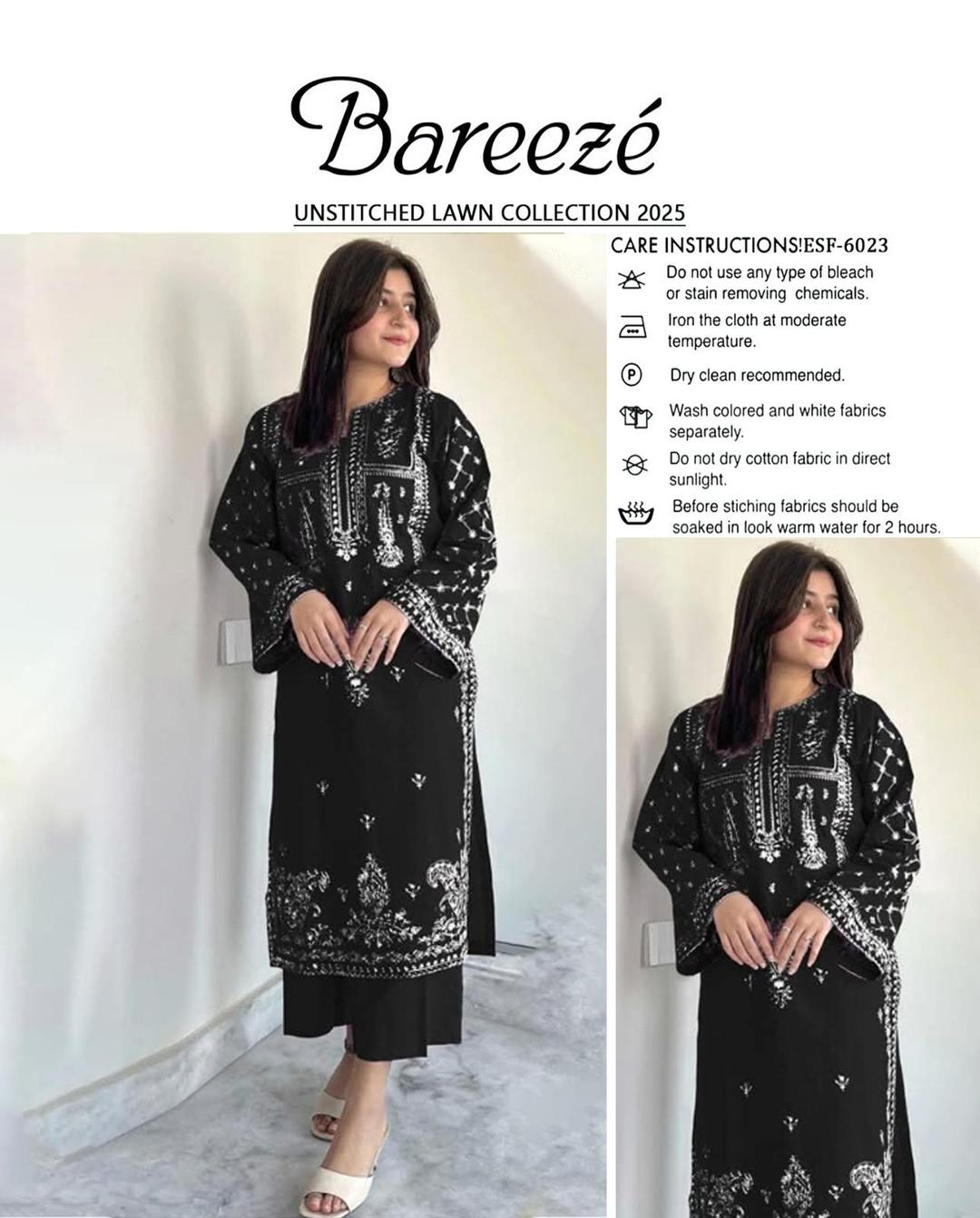 2 Pcs Women's Unstitched Embroidered Suit