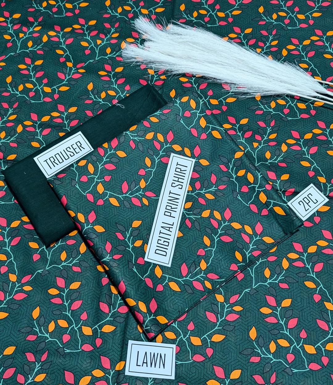 2 Pcs Women's Unstitched Digital Print Suit