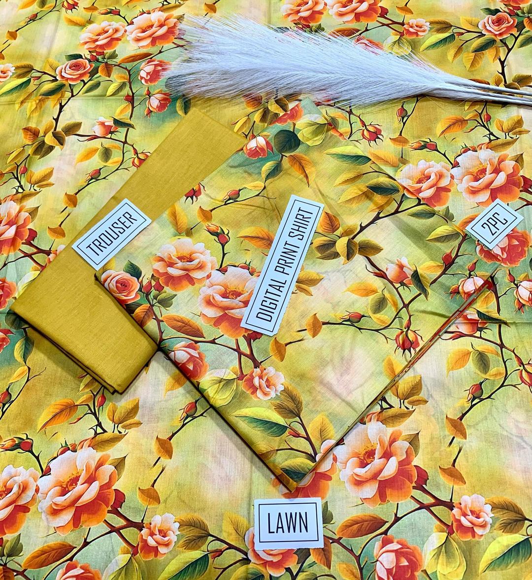 2 Pcs Women's Unstitched Digital Print Suit