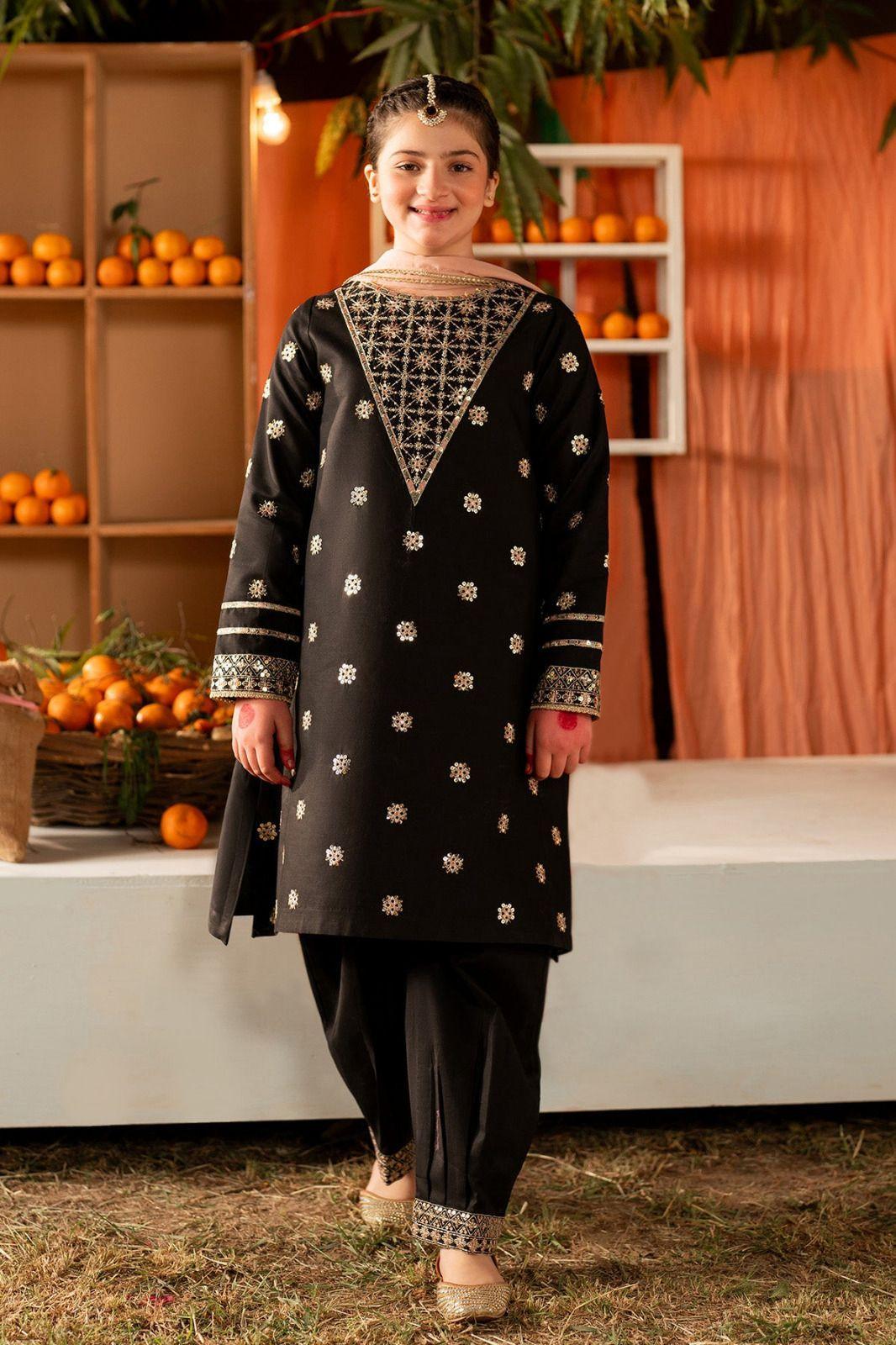 2 Pcs Girl's Cotton Embroidered Kurta And Trouser