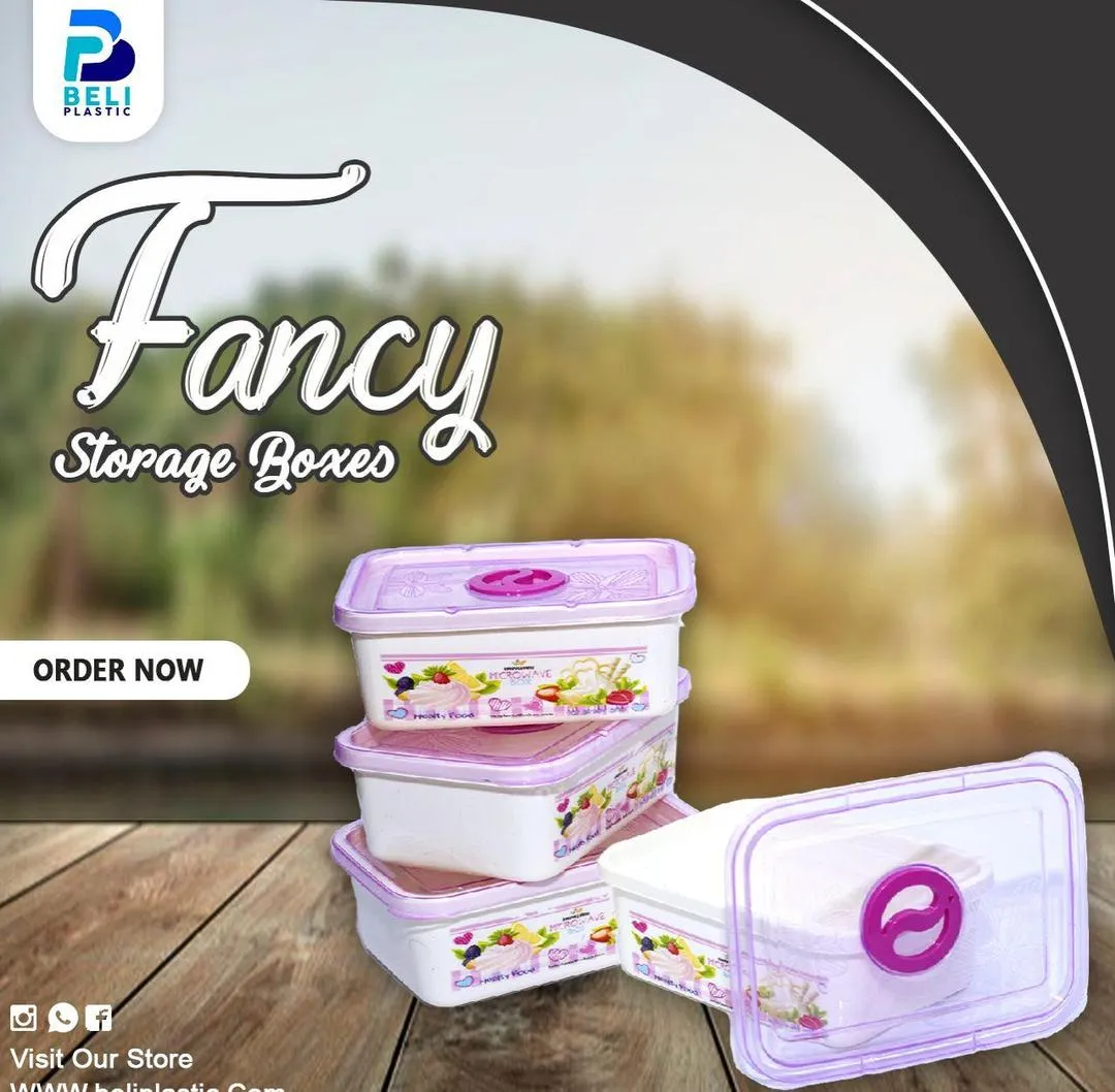 4 Pcs Storage Boxes New And Fancy Style Kitchen Storage Box Food Grade Material Plastic Storage Box Fridge Storage Box