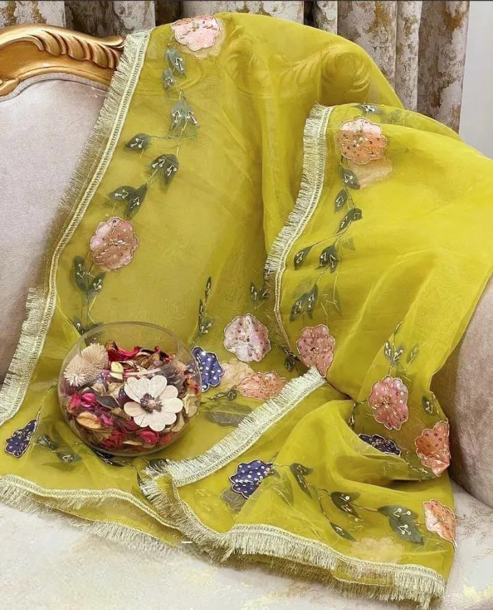 Women's Stitched Dupatta - Organza Brush Paint with Nagina Heavy Beeds Work with Oil Paint Bunches & Bail 4 Sided Border Lace - Unique Design