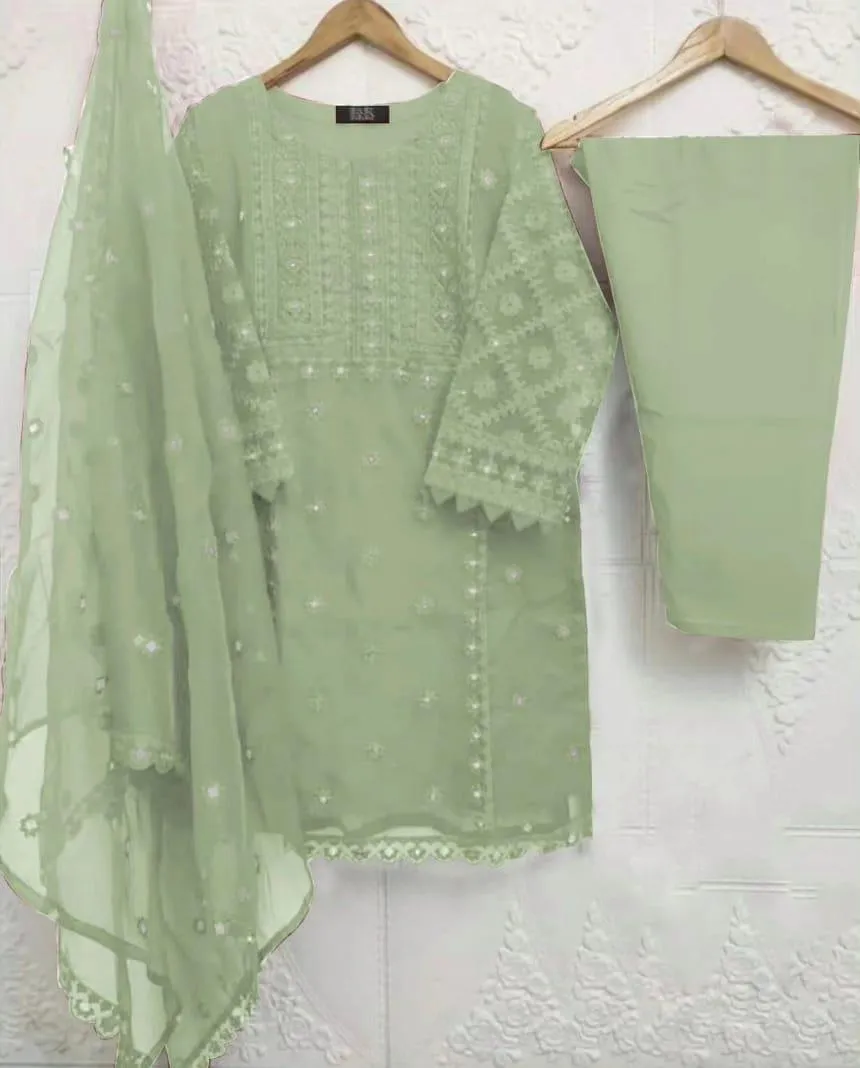 3 Pcs Women's Stitched Organza Embroidered Suit