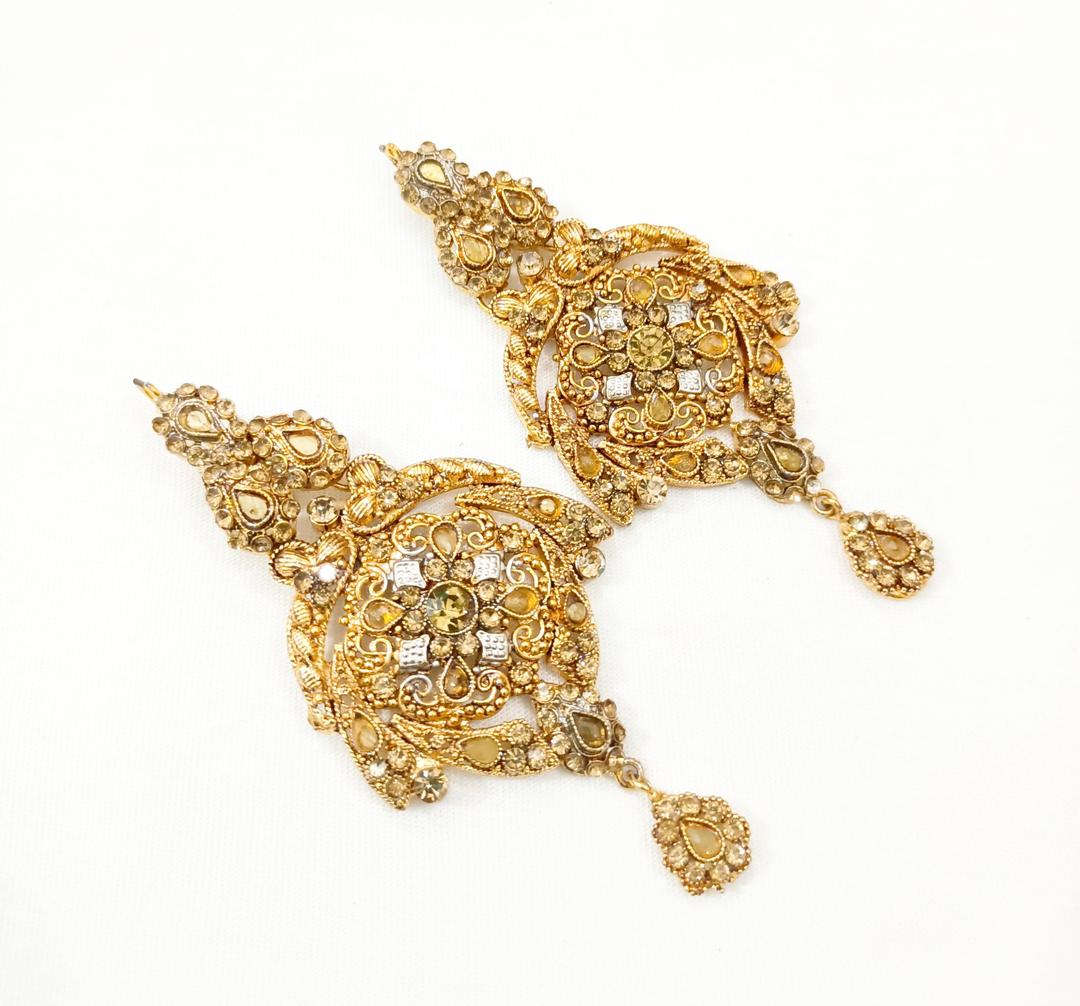 Trendy Earrings Pair