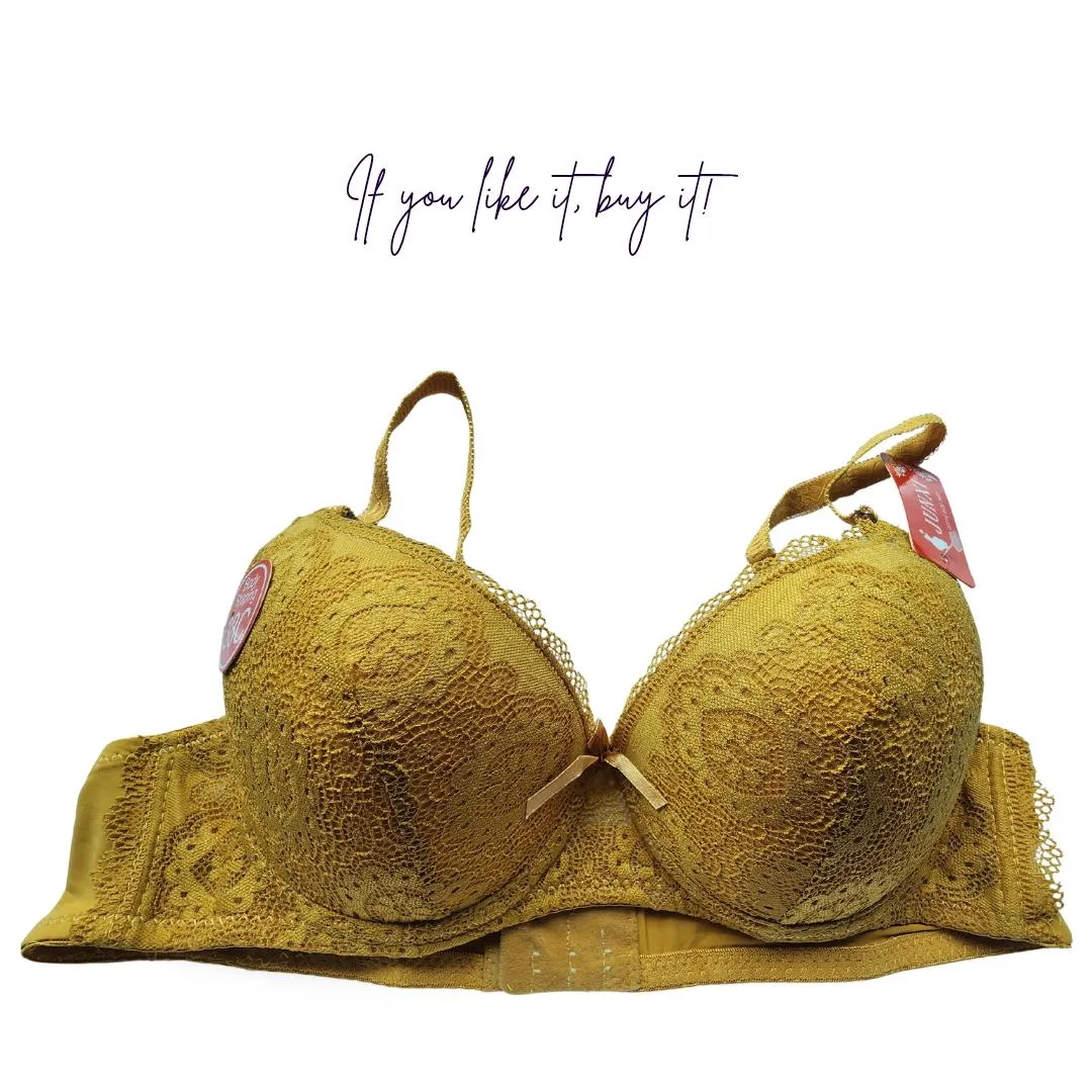 Nylon Lace Work Pushup Padded Bra