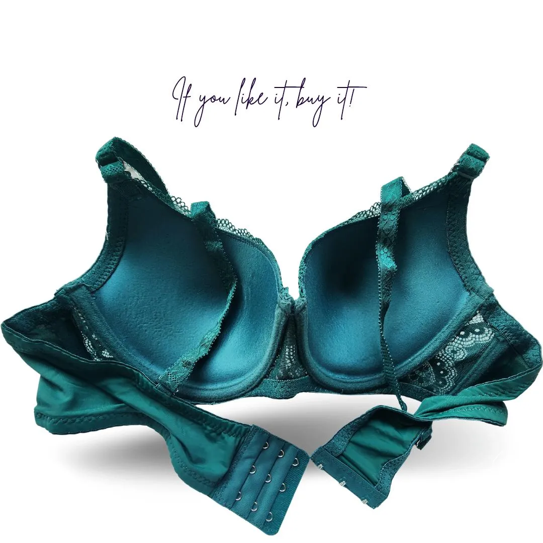 Nylon Lace Work Pushup Padded Bra