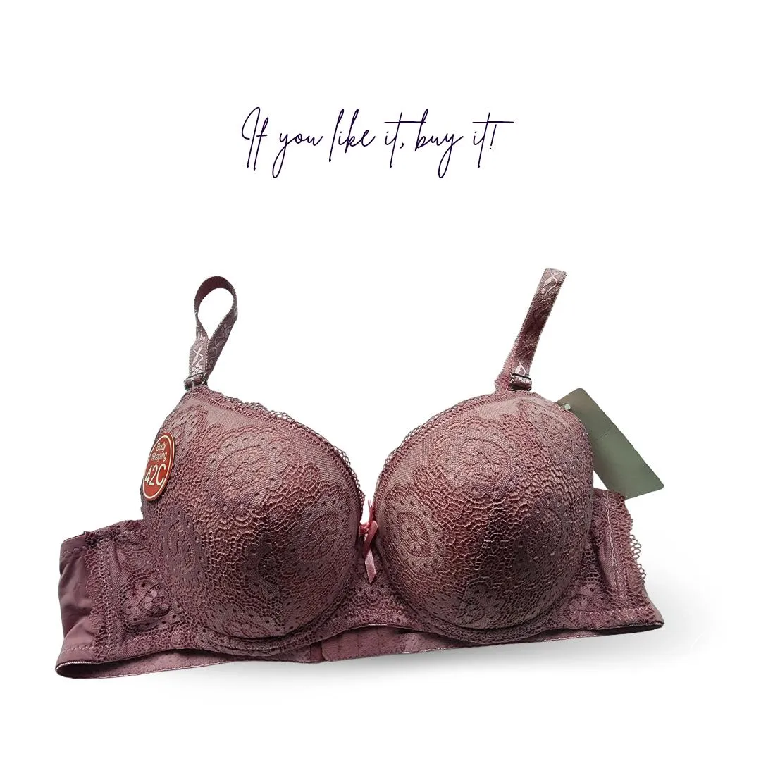 Nylon Lace Work Pushup Padded Bra