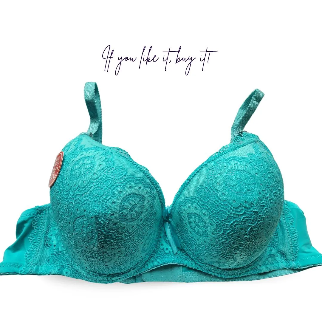 Nylon Lace Work Pushup Padded Bra