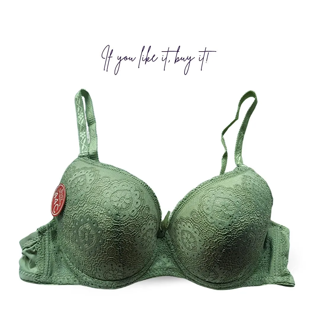 Nylon Lace Work Pushup Padded Bra