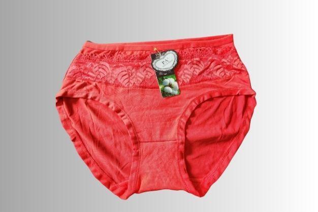 Cotton Lace Work Comfortable And Breathable Embroidered Panties