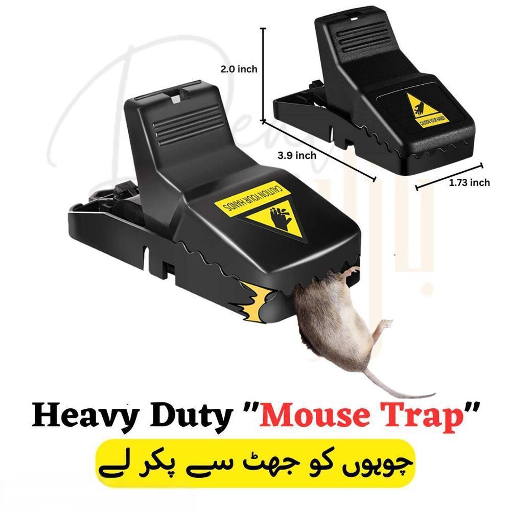Mouse Trap. Pack Of 10