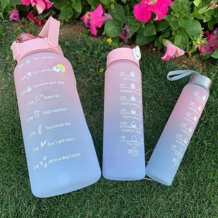 3 Pcs Water Bottle Set With Straw
