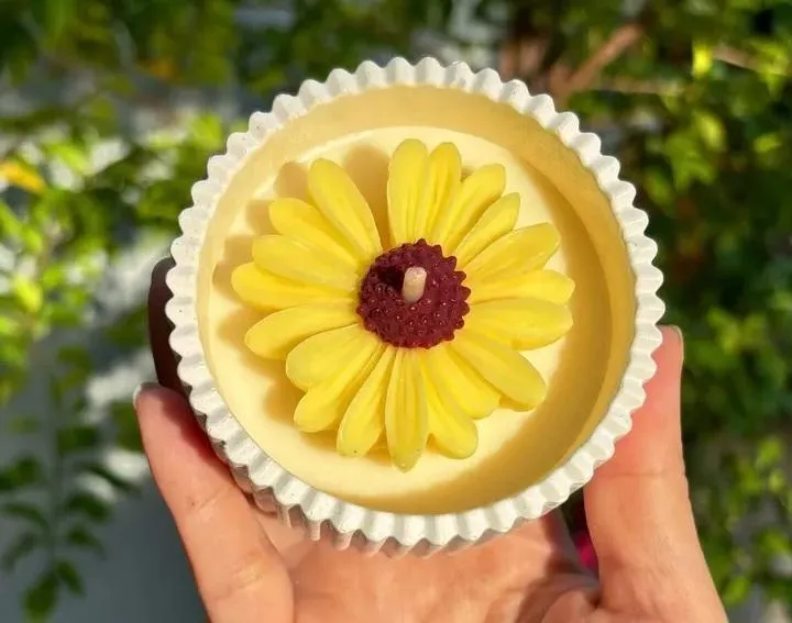 Multicolor Scented Candle Gift Set Collection - 2 Pcs for Everyday Use