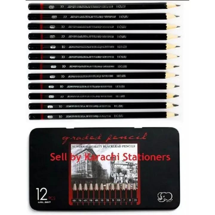 12 Pcs Steel Box Professional Sketch Drawing Art Pencil Set