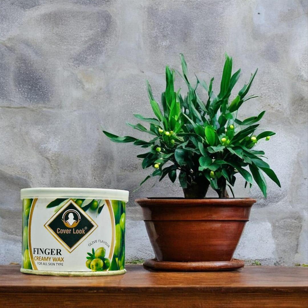 Green Finger Wax - 1 Pack for Painless Hair Removal and Skin Comfort