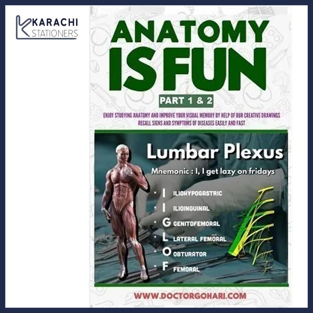 Anatomy Is Fun Part 1 & 2