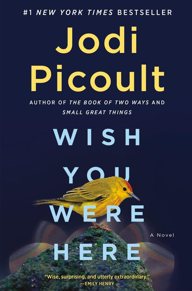 Wish You Were Here By Jodi Picoult Novel Ks