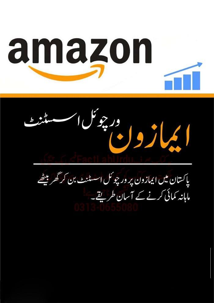 Complete Guide Book In Urdu To Become A Pro Amazon Virtual Asisstant Ks