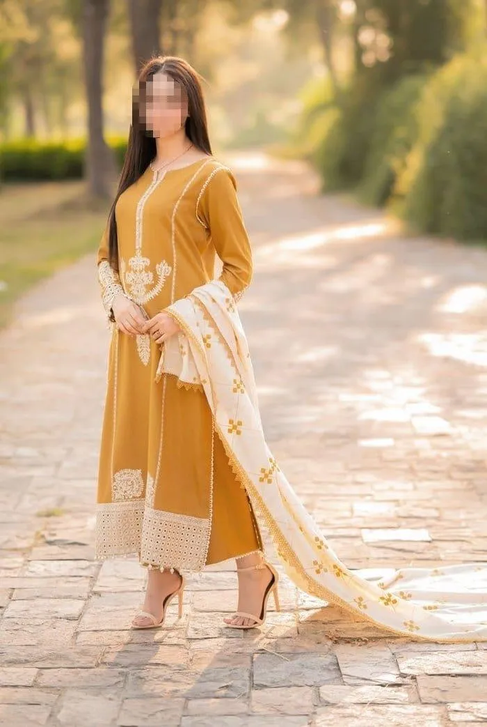 3 Pcs Women's Unstitched Embroidered Suit
