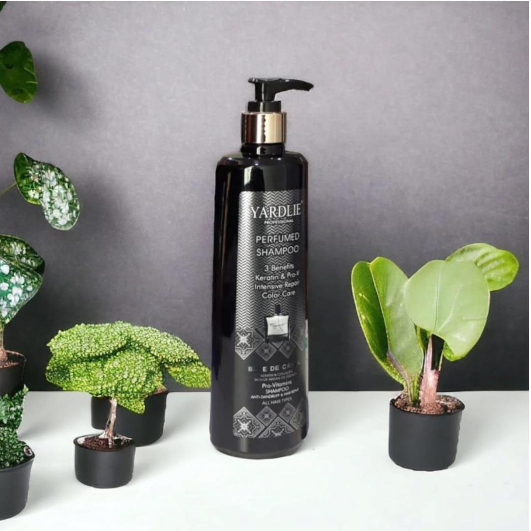 Perfumed Shampoo with Keratin & Pro-V – Intensive Repair & Color Care for All Hair Types