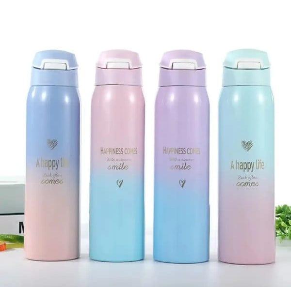 Double Color Stainless Steel Straw Bottle, 500ml