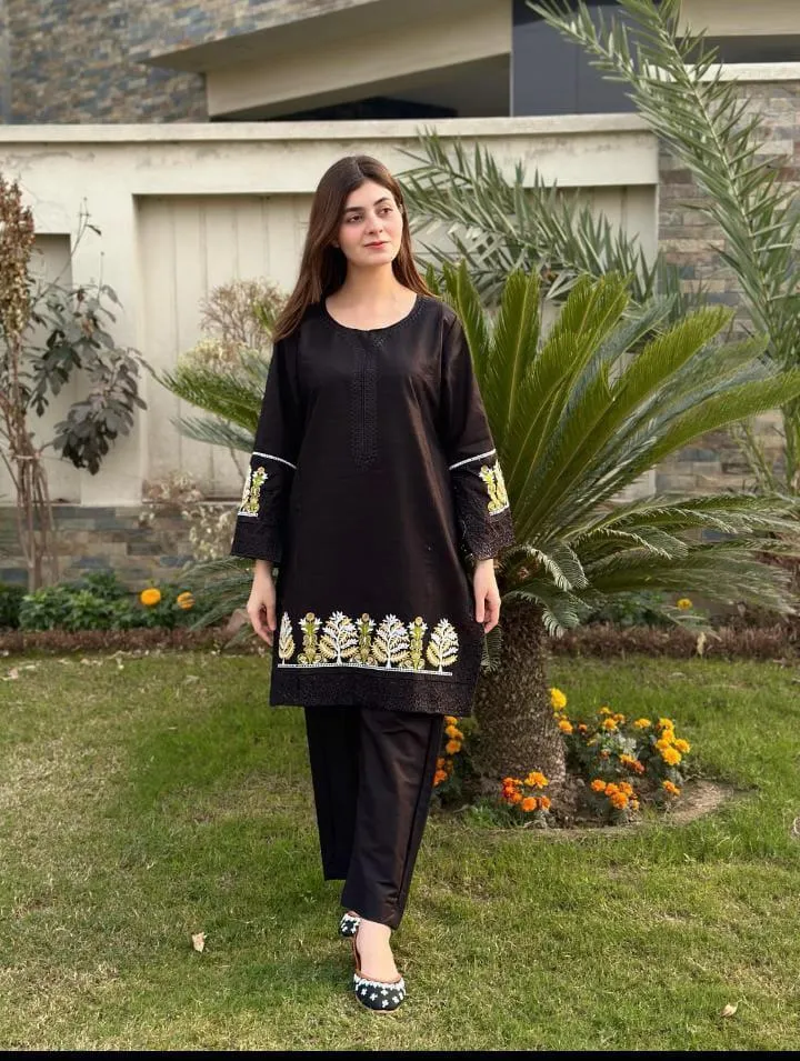 2 Pcs Women's Stitched Linen Embroidered Shirt And Trouser