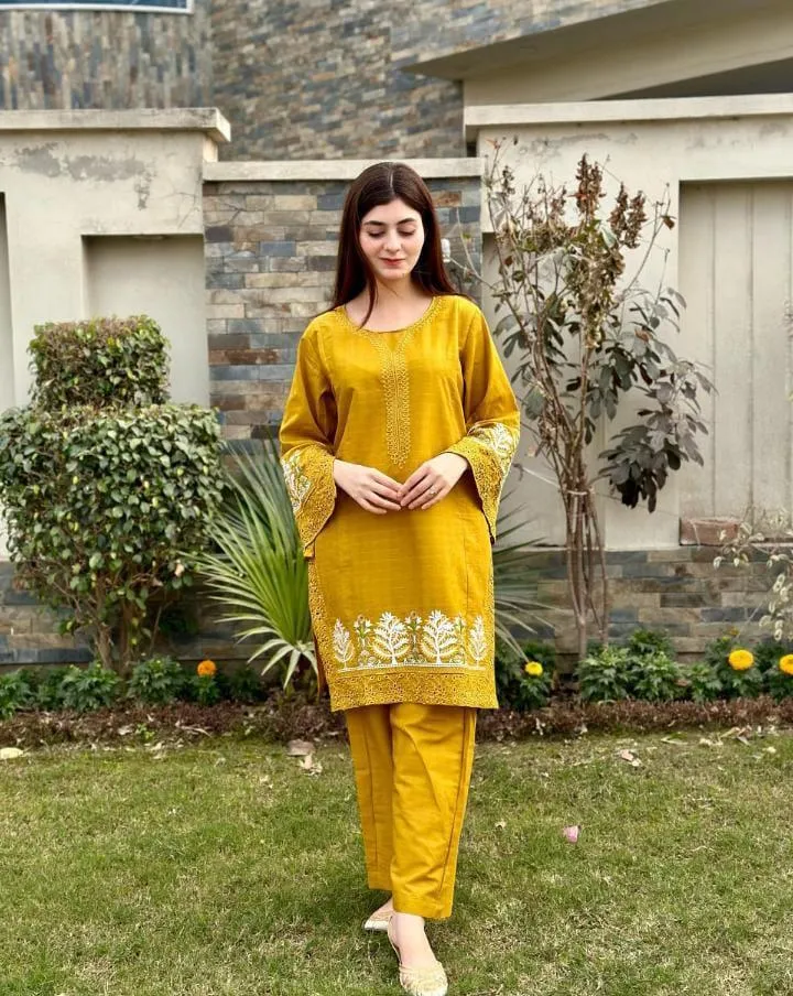 2 Pcs Women's Stitched Linen Embroidered Shirt And Trouser