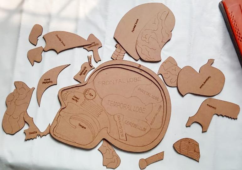 Wood Human Anatomy Learning Tile