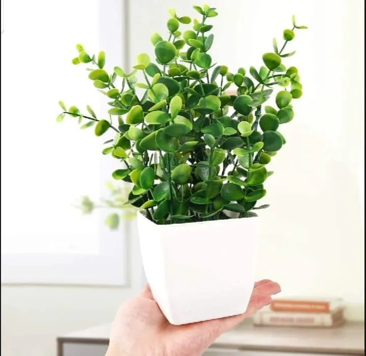 1 Pc Planter For Decoration