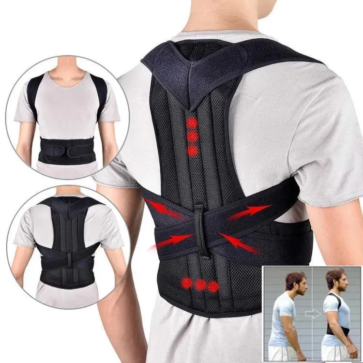 Back Support Belt