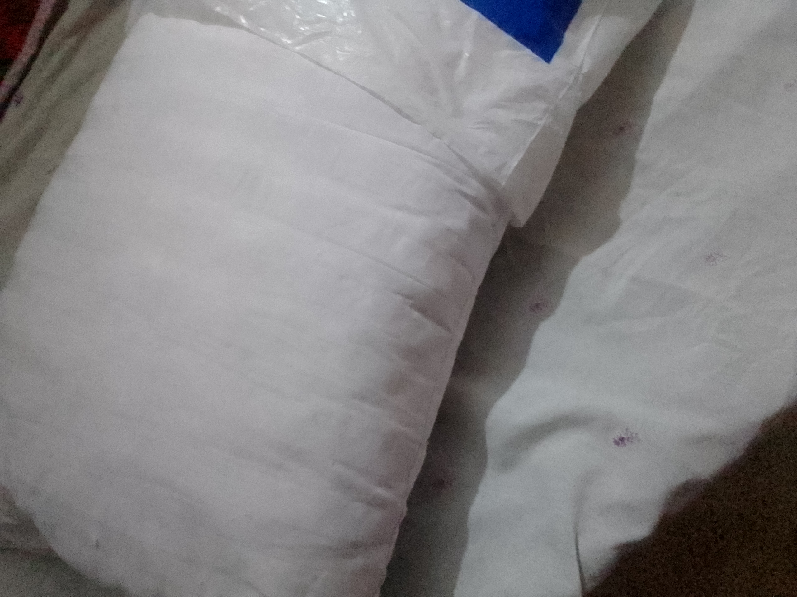 FA Seller review 2