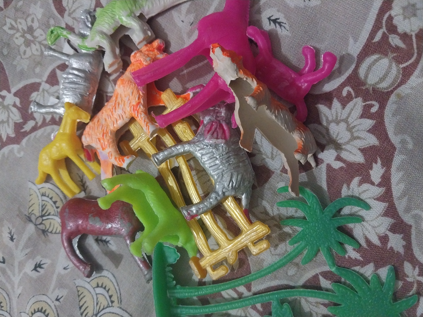 AFZ collection  review 2