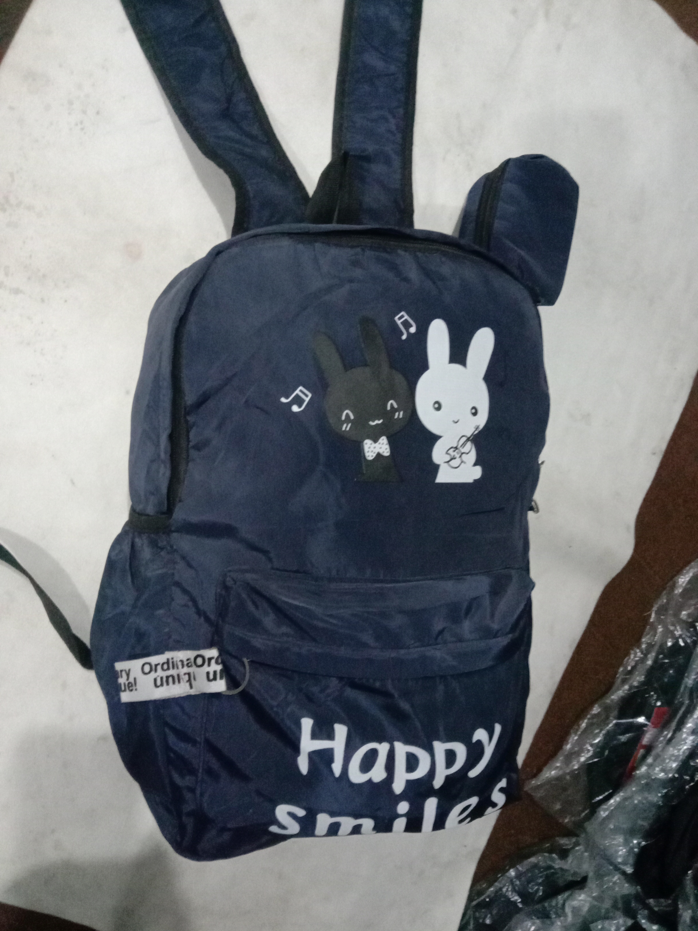 putncarry review 1