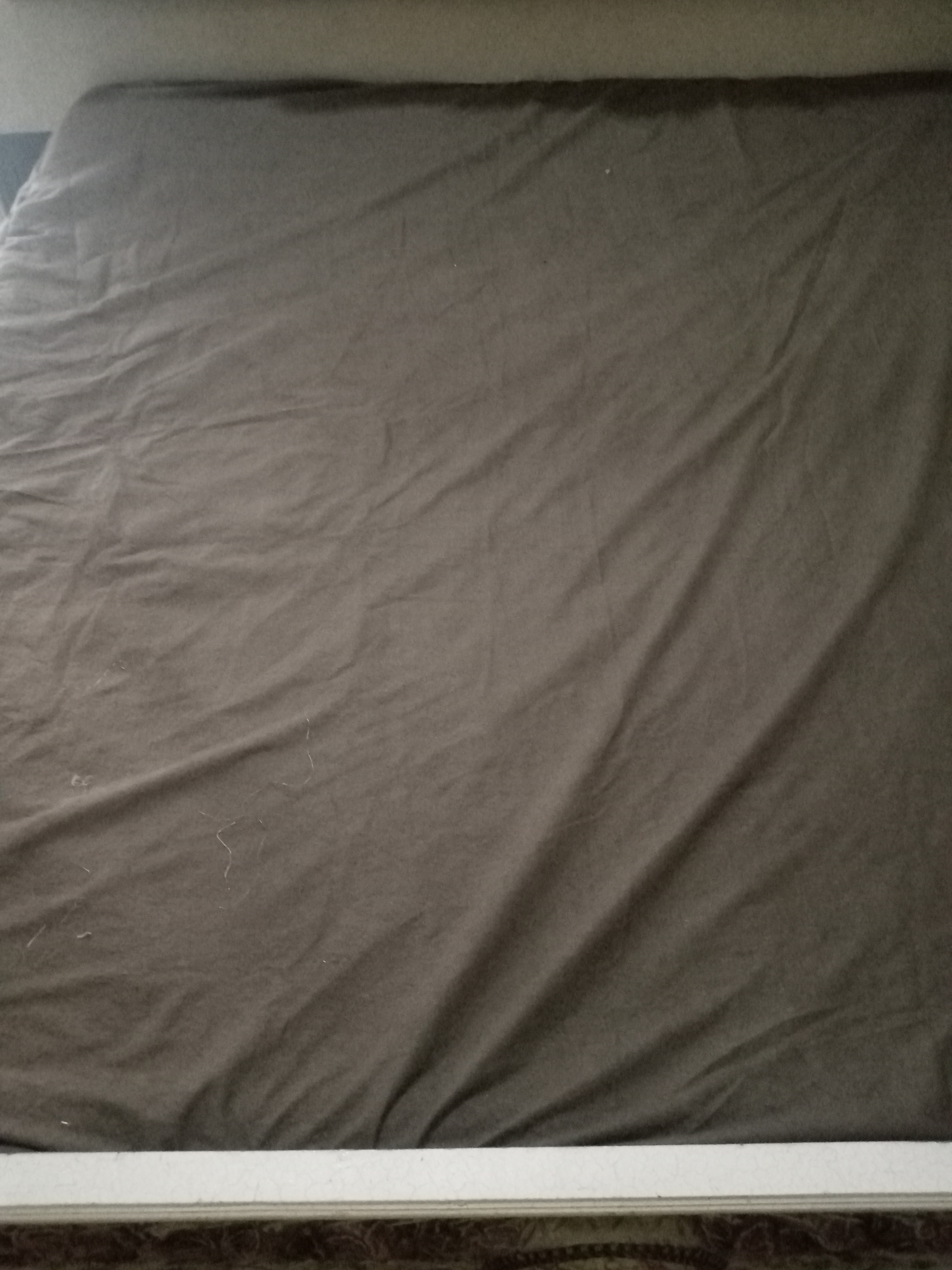 Habib products review 1