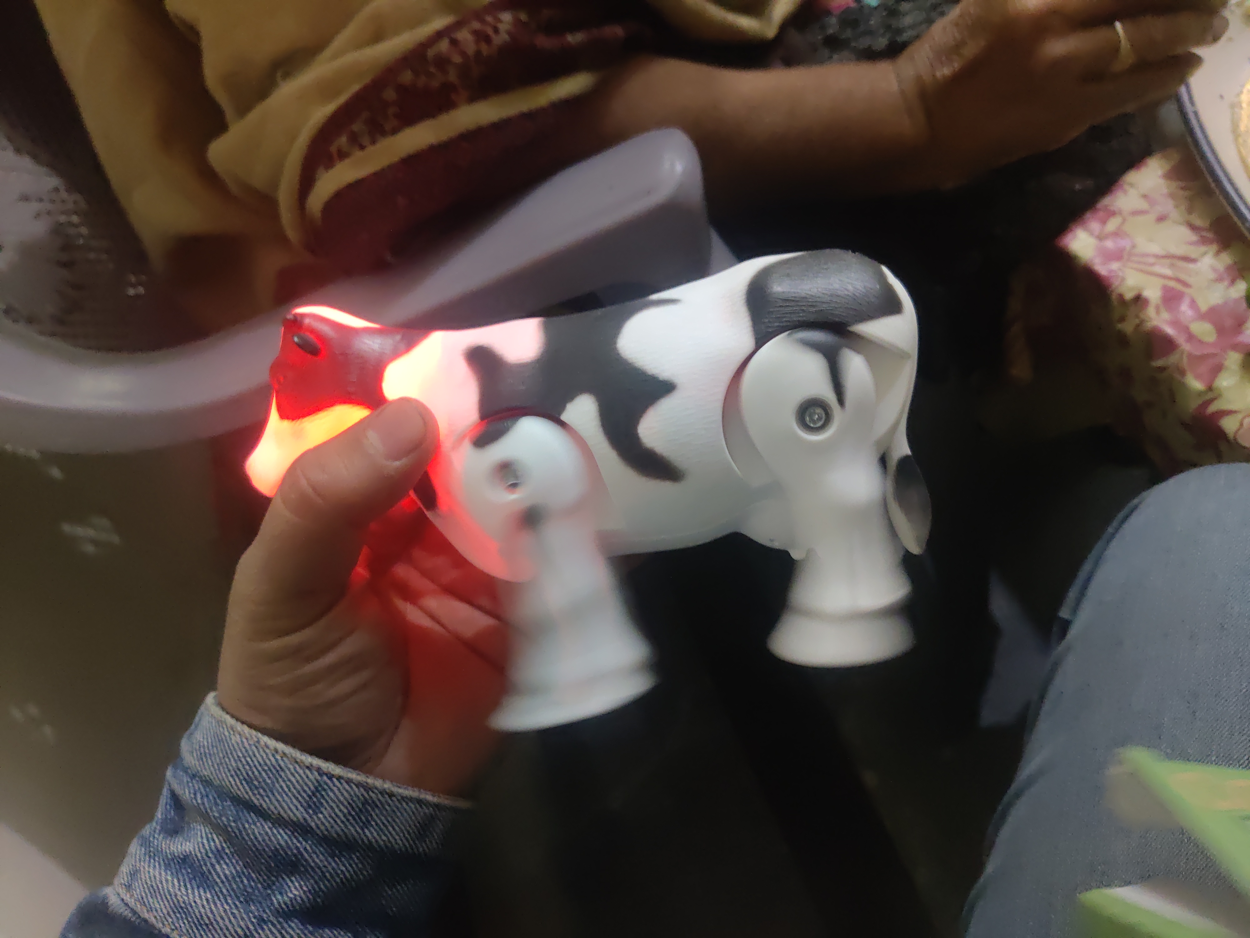 Rana LaieQ review 3