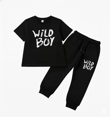 2 Pcs Boy's Polyester Printed Tracksuit