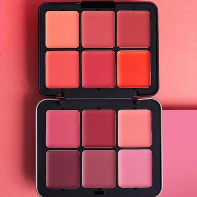 12 In 1 Blush Kit
