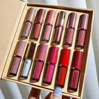 12 Pcs High Pigmented Lip Gloss Set