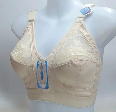 Capri Bra For Girls , Half Cup Fancy Net Best Quality Bra 