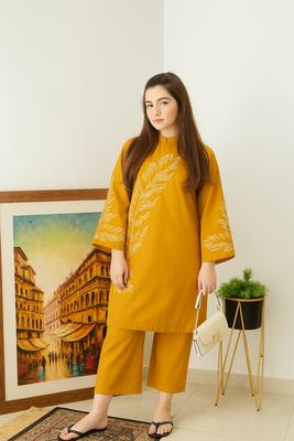 2 Pcs Women's Stitched Embroidered Shirt And Trouser